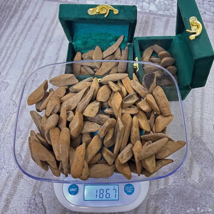 عود مروكي محسن 0