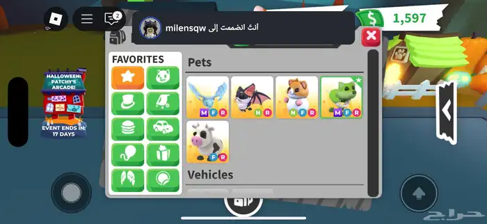 ميقا فروست للبيع 0