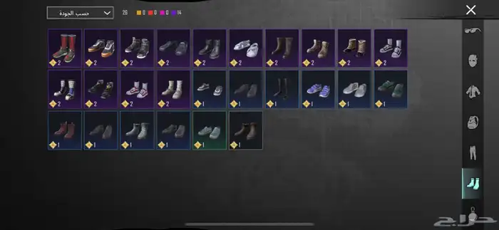 حساب ببجي 17