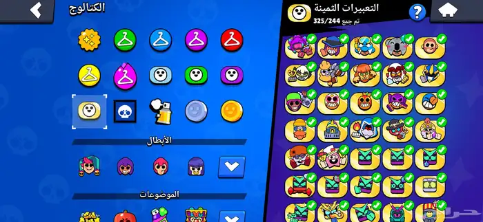 بروال ستارز 19