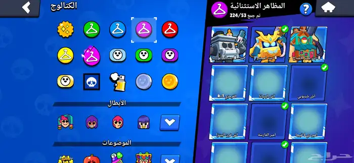 بروال ستارز 17