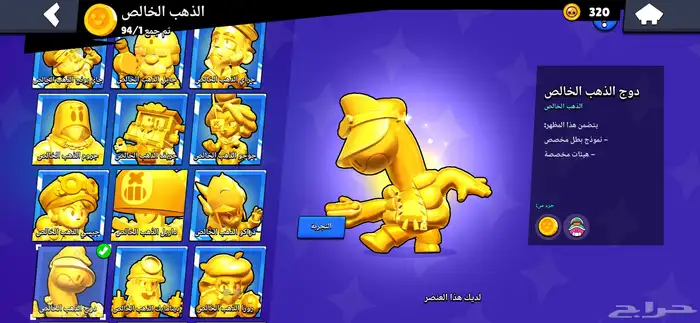 بروال ستارز 23