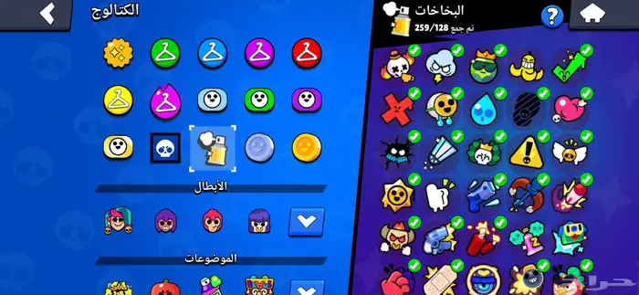 بروال ستارز 21