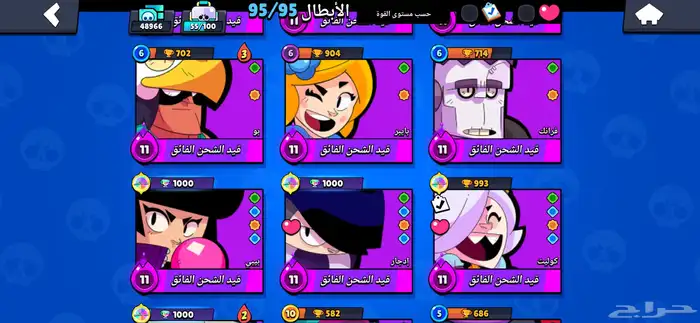 بروال ستارز 8