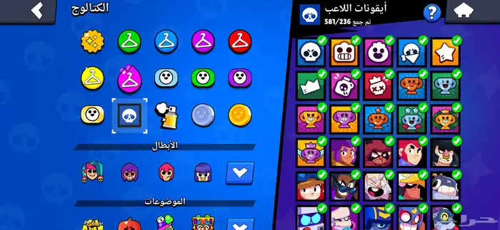 بروال ستارز 20