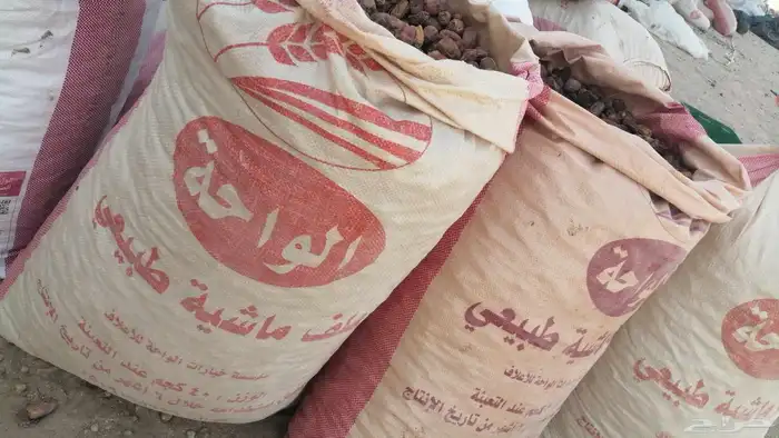 علف تمر للبيع ماشاء الله تبارك الله 0