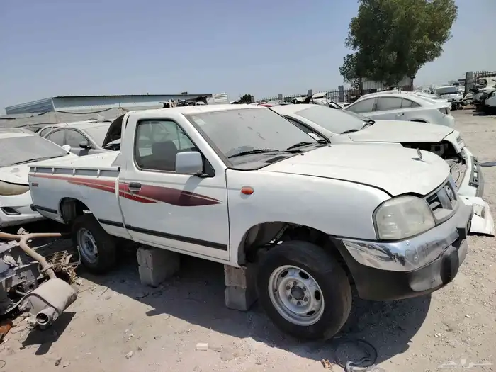 نسان ددسن 2