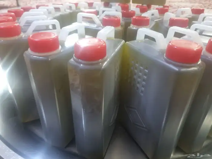 زيت زيتون سوري 0