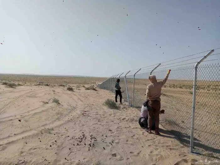 مقاول شبوك 4