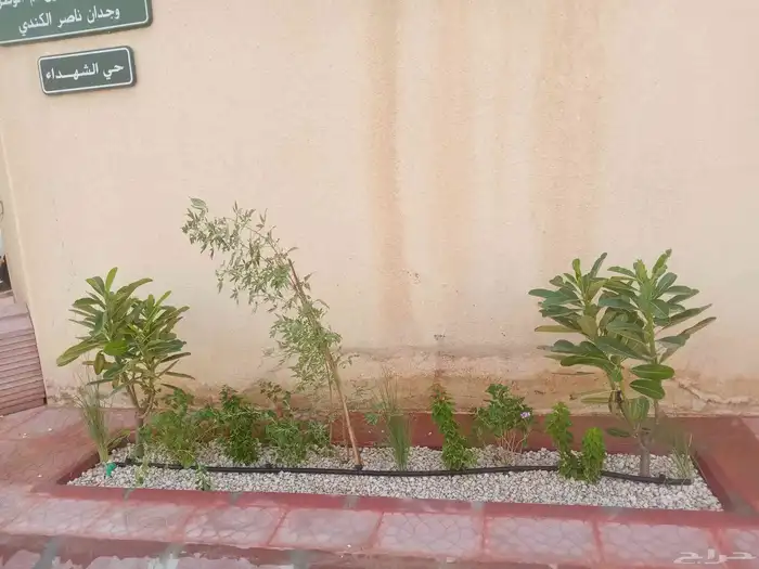 مشتل زراعي 19