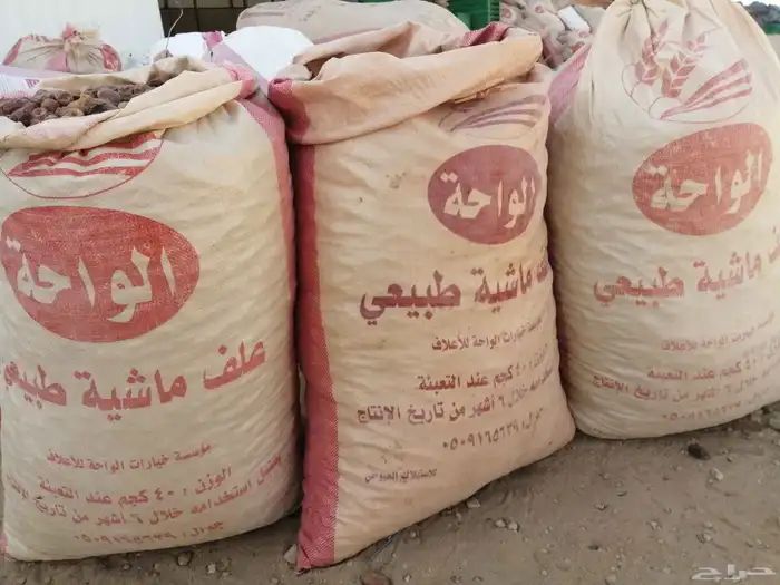 علف تمر للبيع ماشاء الله تبارك الله 3