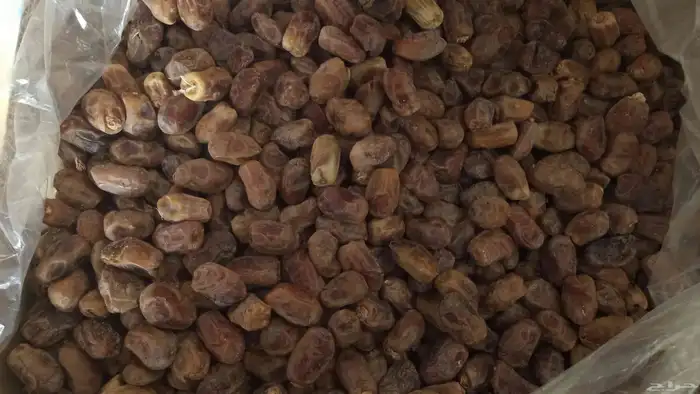 عندنا مشكلات وسعر مناسب 2