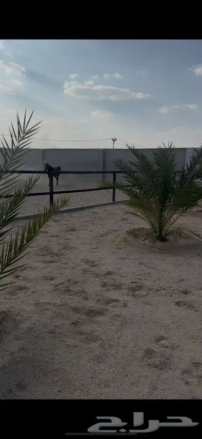 استراحة ومربط خيل للبيع 6