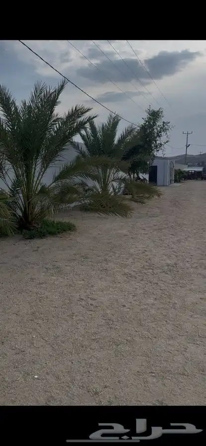 استراحة ومربط خيل للبيع 1