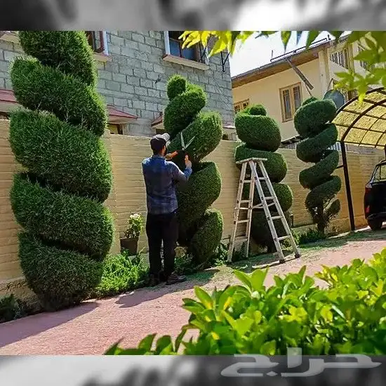 كل انواع الزراعه تنسيق الحدائق تزيين تقليم الأشجار والنخل 26