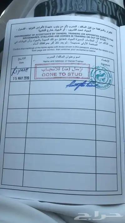 فرس انقليزيه index