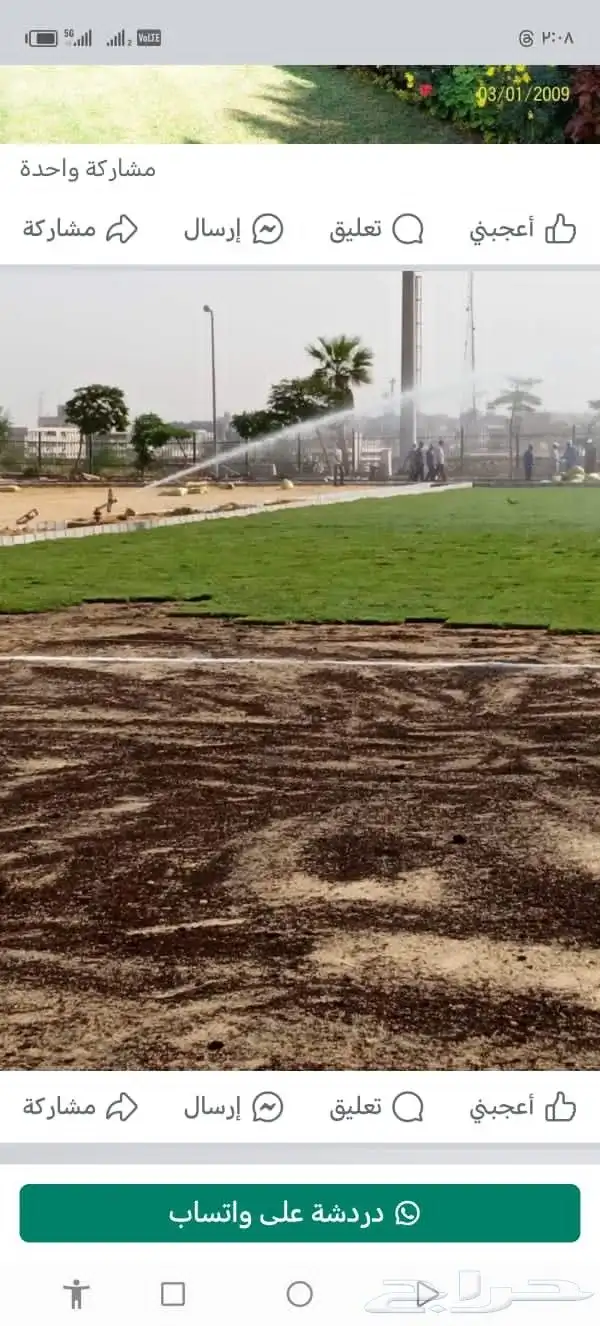 تنسيق حدائق توريد وتركيب الثيل الطبيعي وشبكه الرأي الحديث عا 5