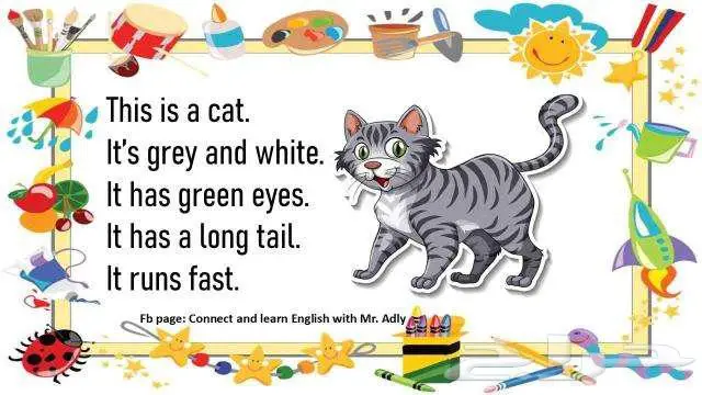 أفضل معلمة خصوصية حي الفضيلة 1