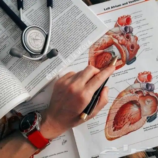 استاذ دكتوره فؤاد 0