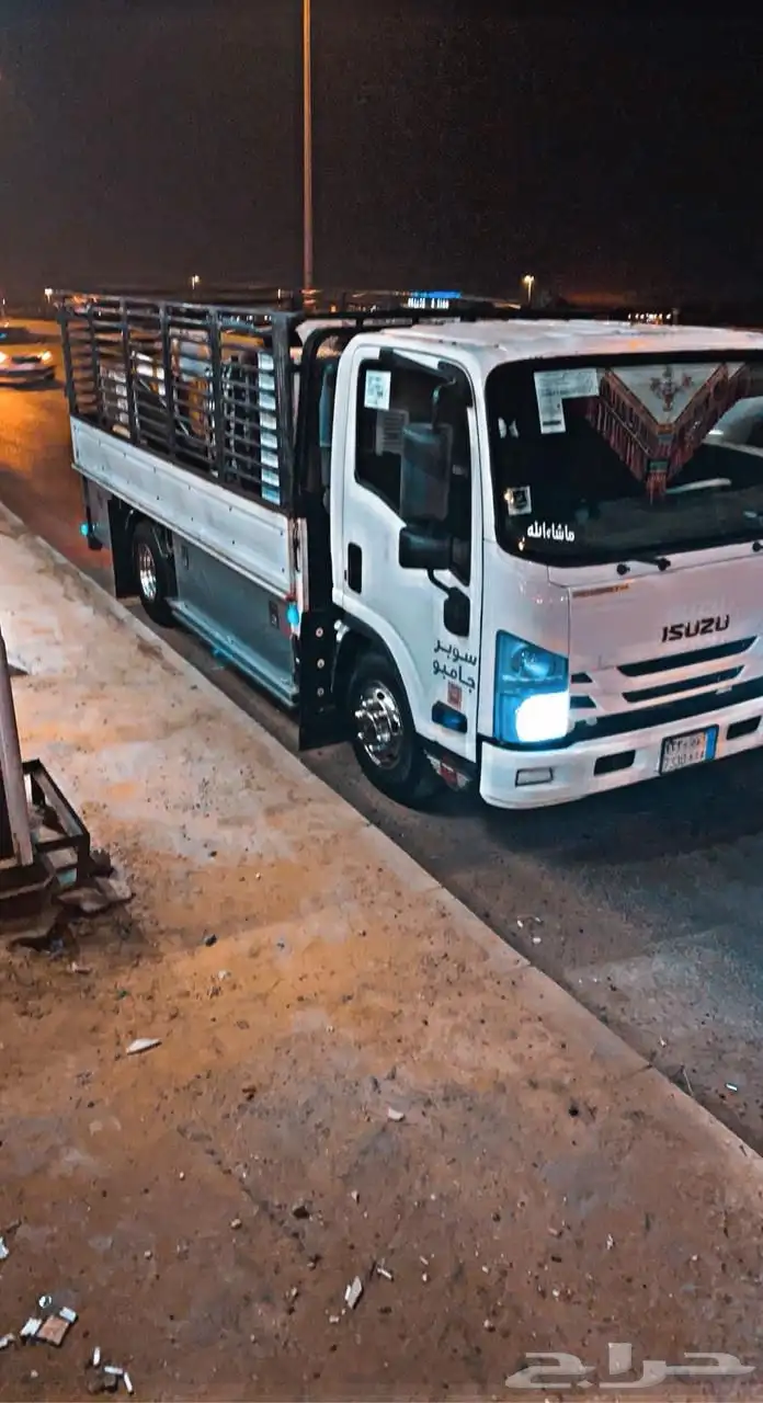 دينا داخل وخارج الباحة 1