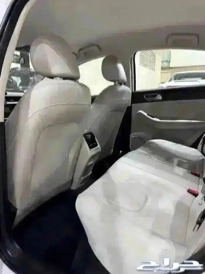 شيري اريزو 5 2024 7