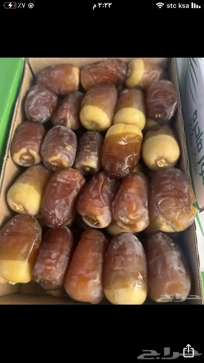 لدينا فسايل كبار مطلعه مصيفه نعجان نبتت الحصان شمشوله حوشانه 0