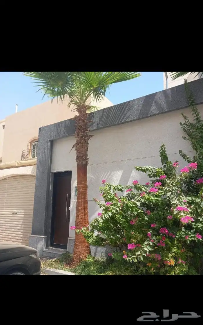 الحفر البطان 15