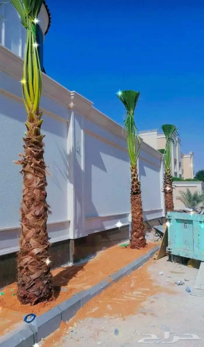 الحفر البطان 13
