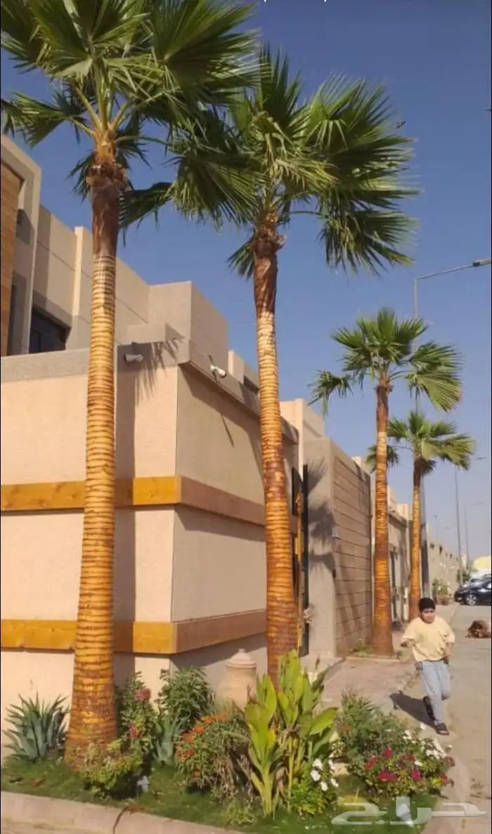 الحفر البطان 14