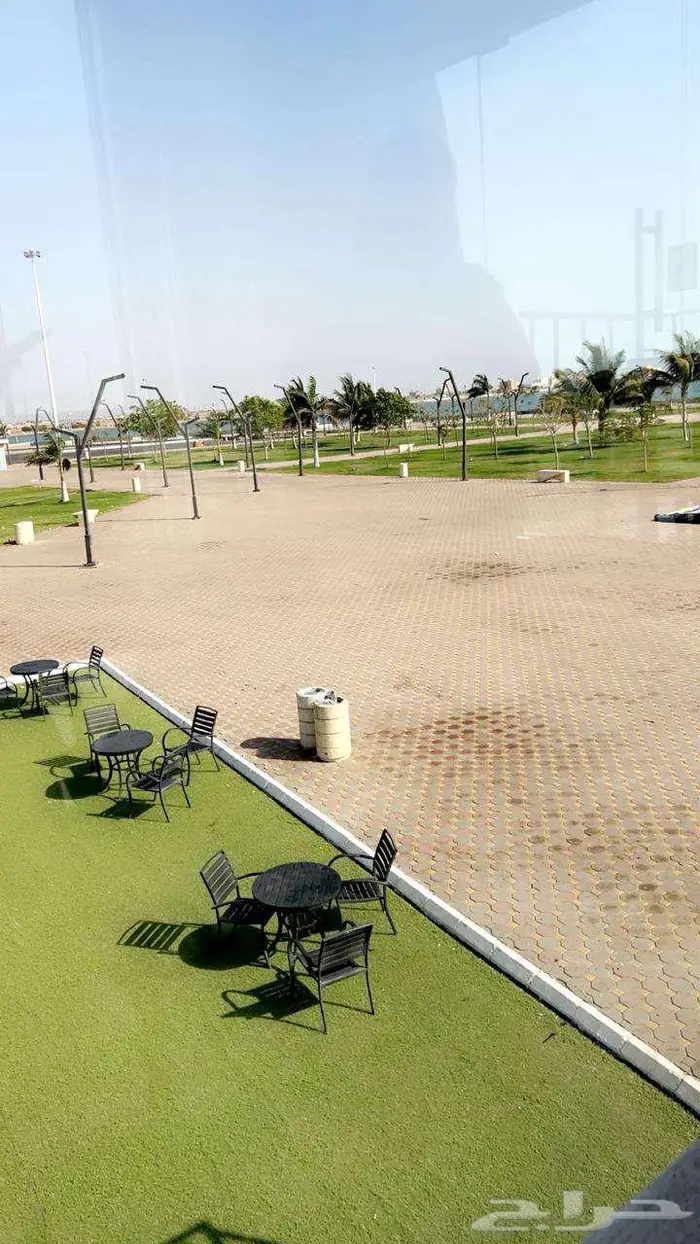 مطلوب شقه ايجار 0