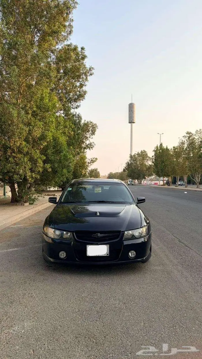 لومينا ss 2006 1