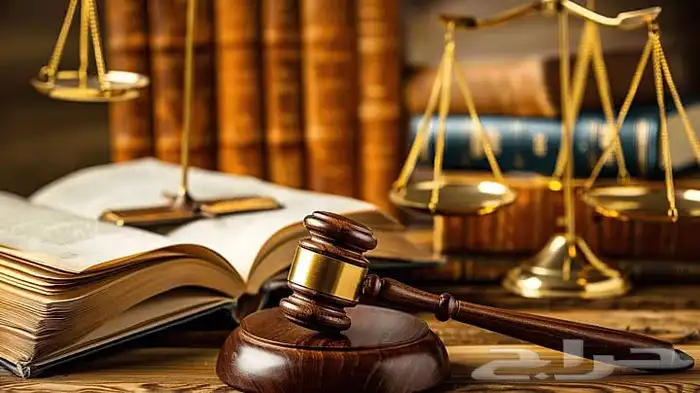 حضور جميع الجلسات القضائية و الترافع لدى جميع المحاكم 0