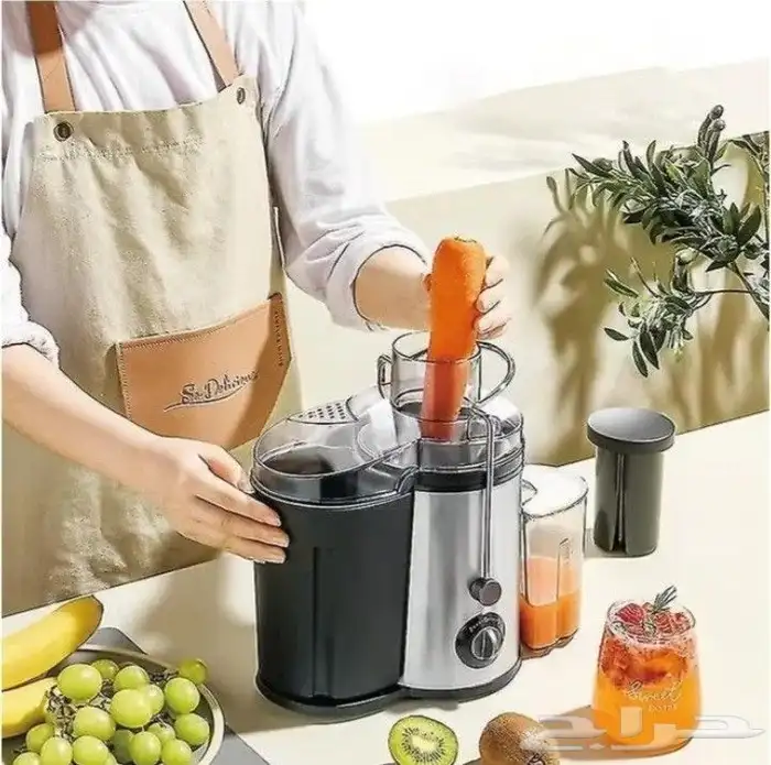 Electrical Vegitible and Fruit Juicer with power of 800 watt 9