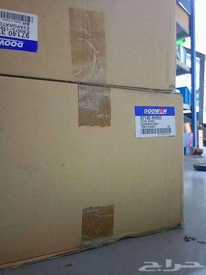 كل انحاء المملكة 1