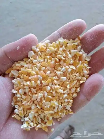 ذره صفراء مجروش index