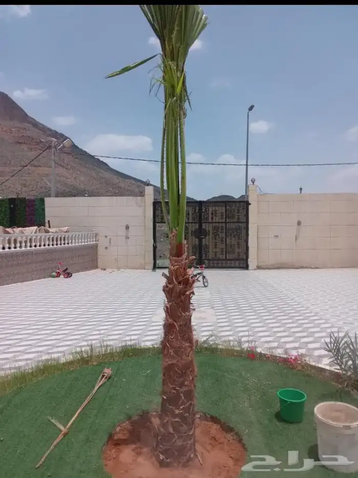الحفر البطان 16