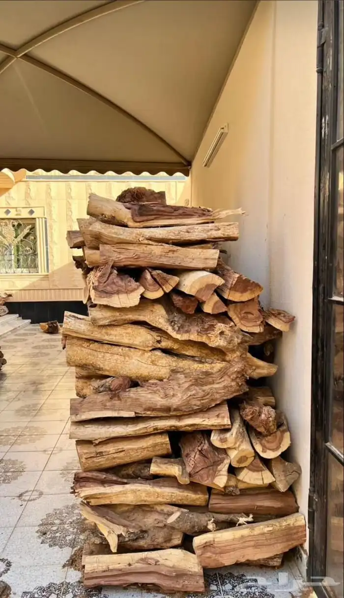 حطب مستور. سمر المدينه 3