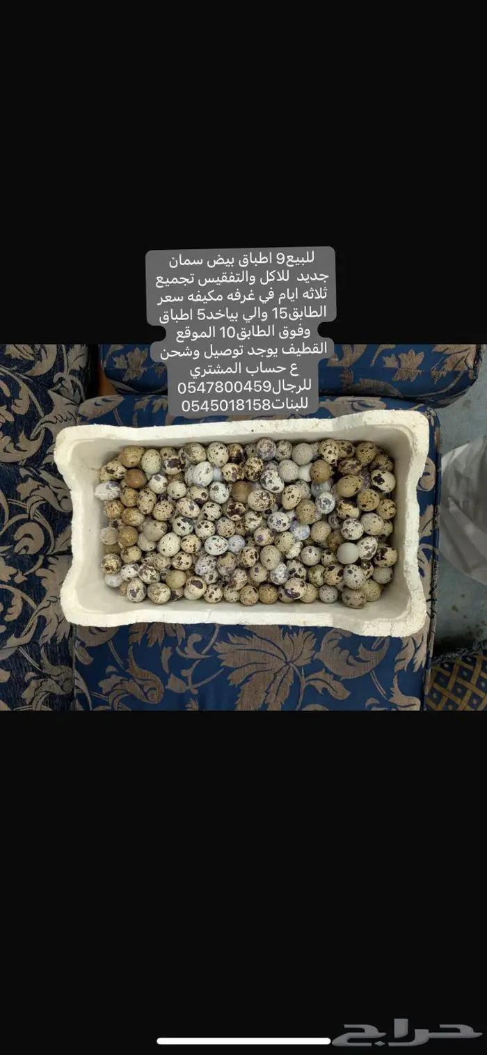 بيض سمان 0
