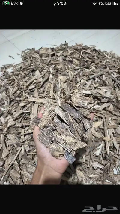 عود سومطري طبيعي 0
