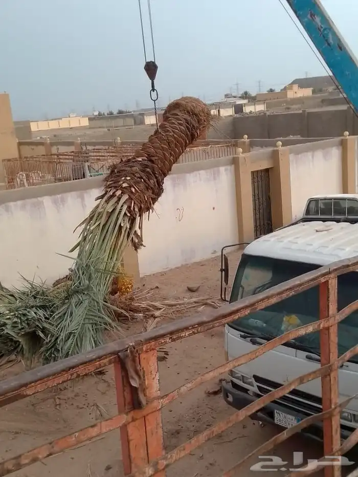 الحفر البطان 10