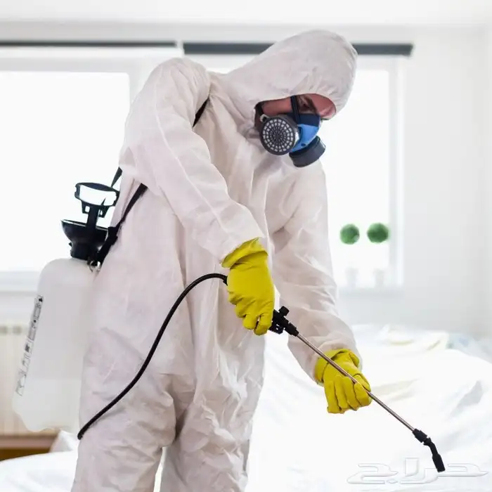 أدوات مكافحة رش الصراصير والبق البعوض بالمدينة المنورة 3