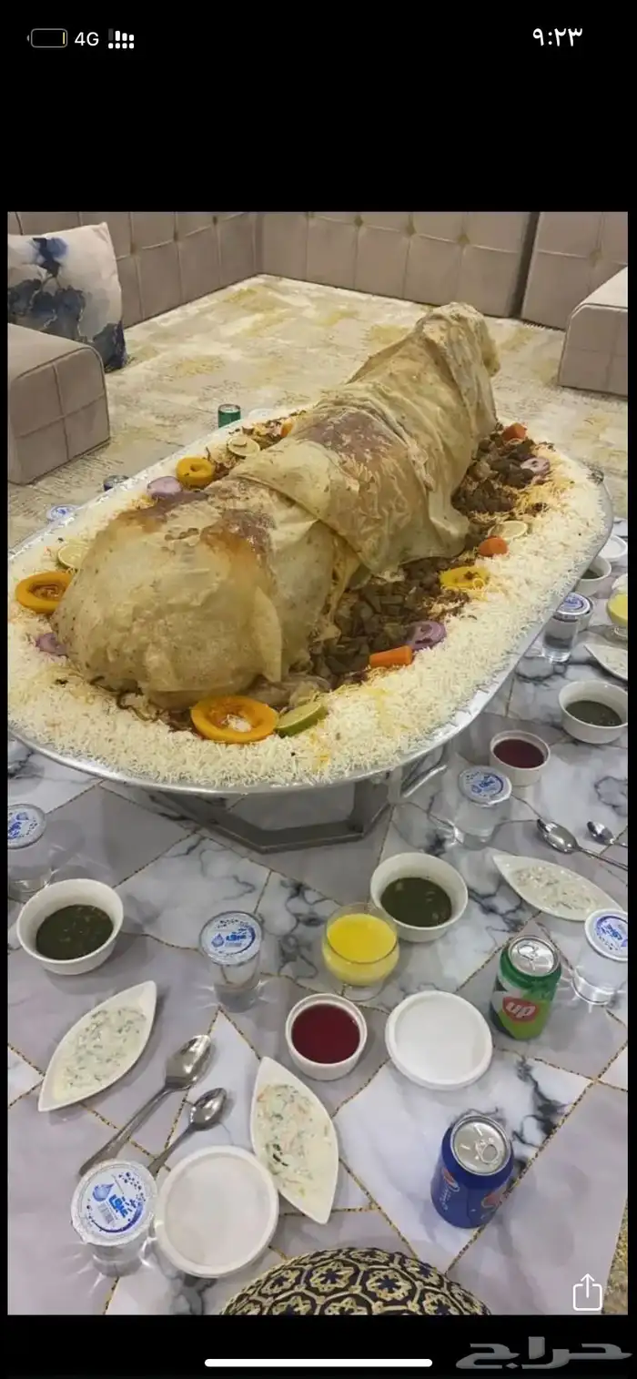 طباخ باكستاني يدور شغل 0