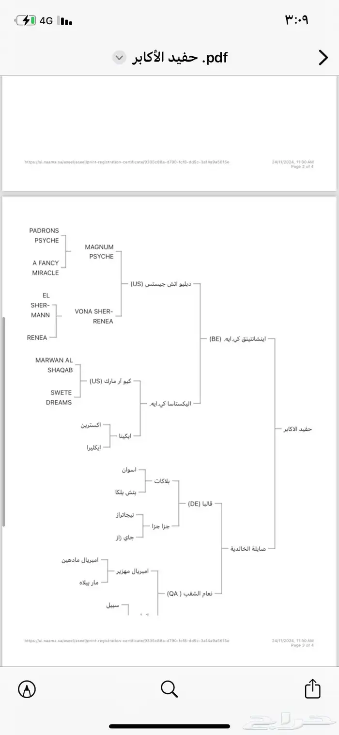 ماشاءالله تبارك الله مهر واهو حفيد دابليو جستس 1
