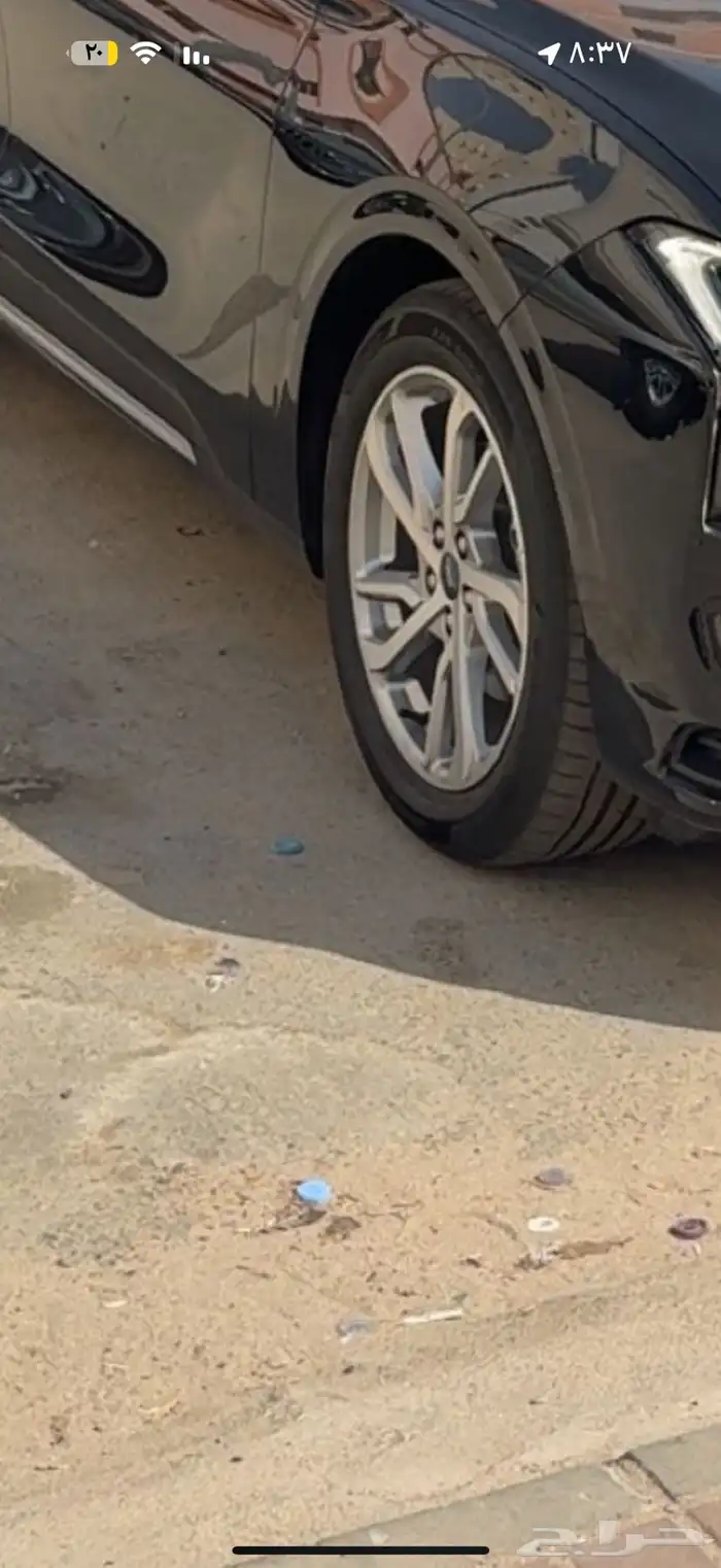 جنوط تورس 2024 1