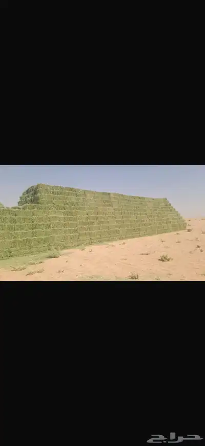 رودس طيب ورق وصافي index