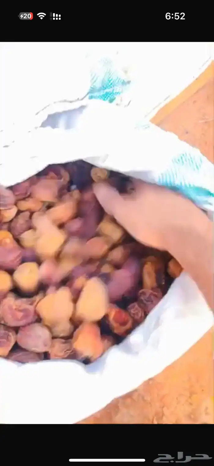 تمر علف للبيع 2