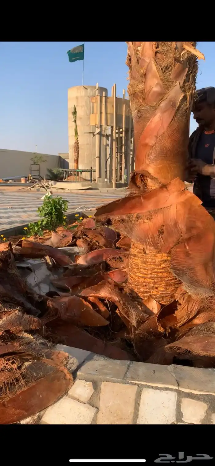 تكريب واشنطن 0