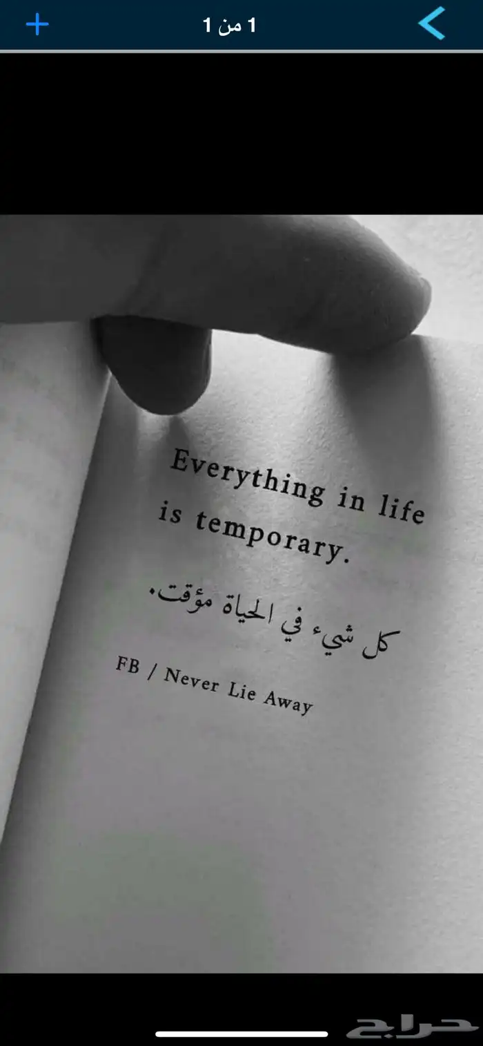اللي عنده عنز وحده او2 حليب. وسن ثنيه والارباع يتواصل معي 0