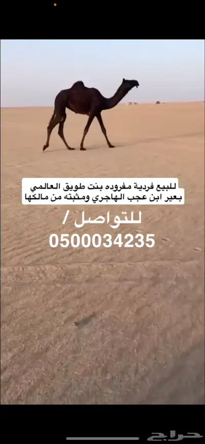 مفروده 0