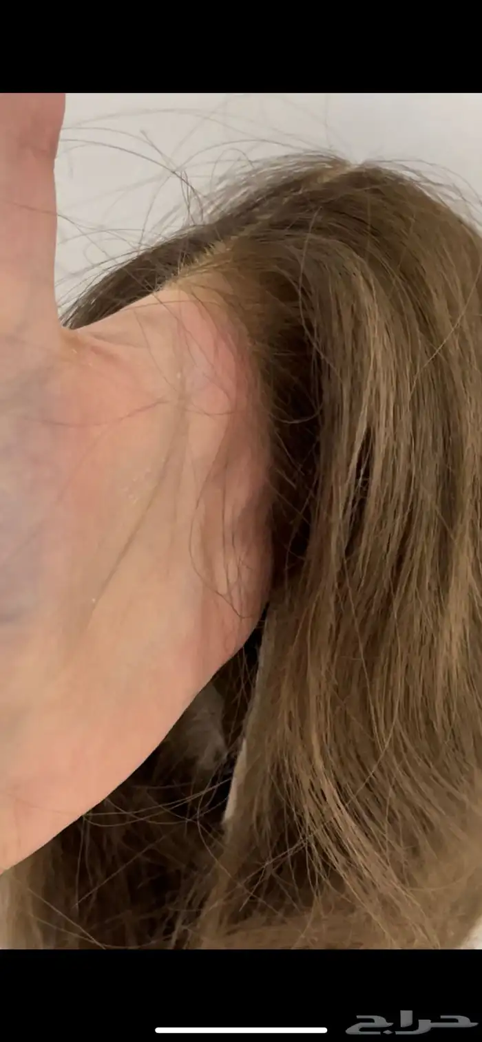 باروكه  wig 7